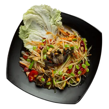 64afd88cc2dfa45d0e46575e_dish-2 1